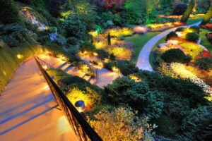 outdoor-area-with-landscape-lighting